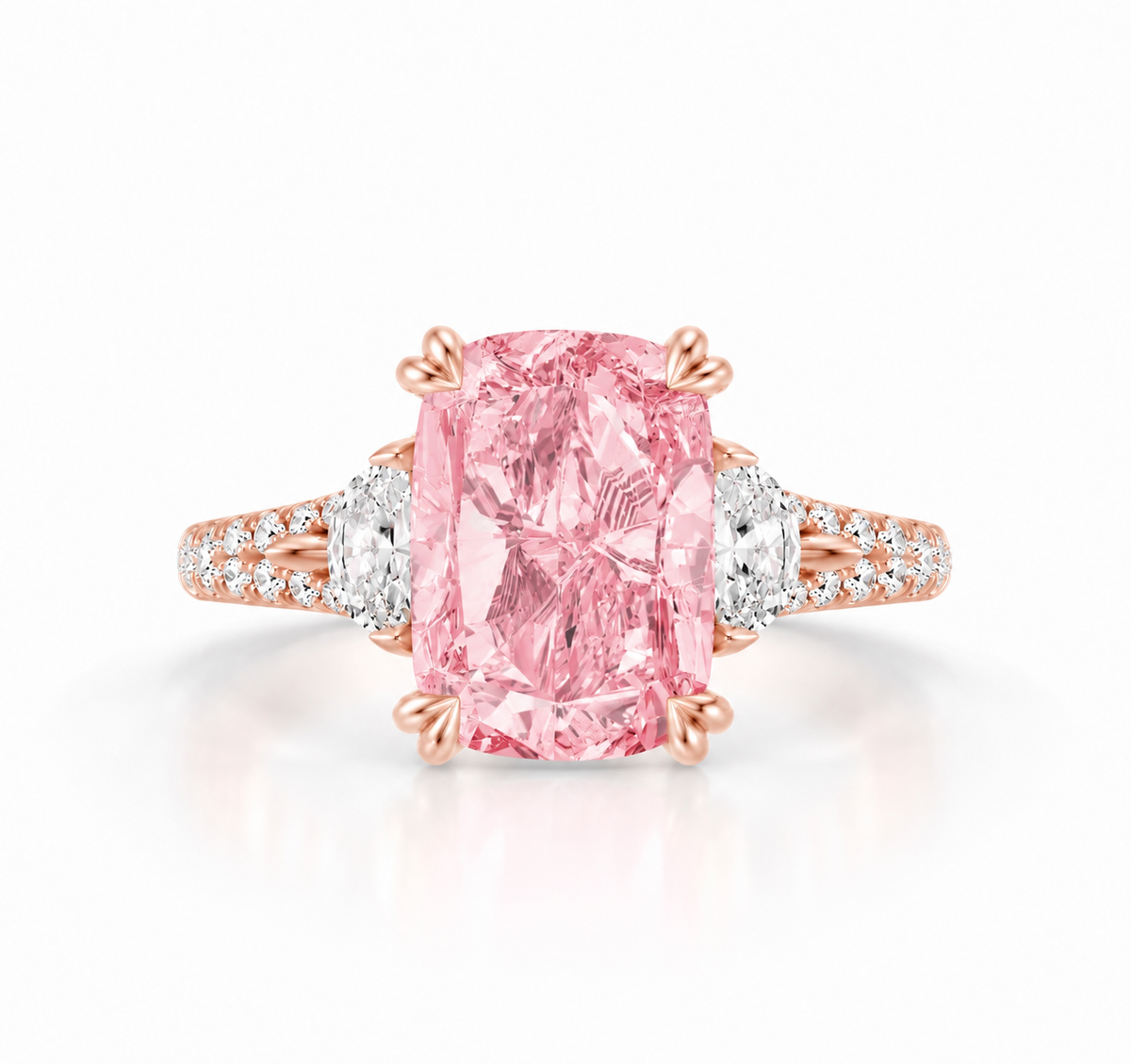 Rosa Radiant