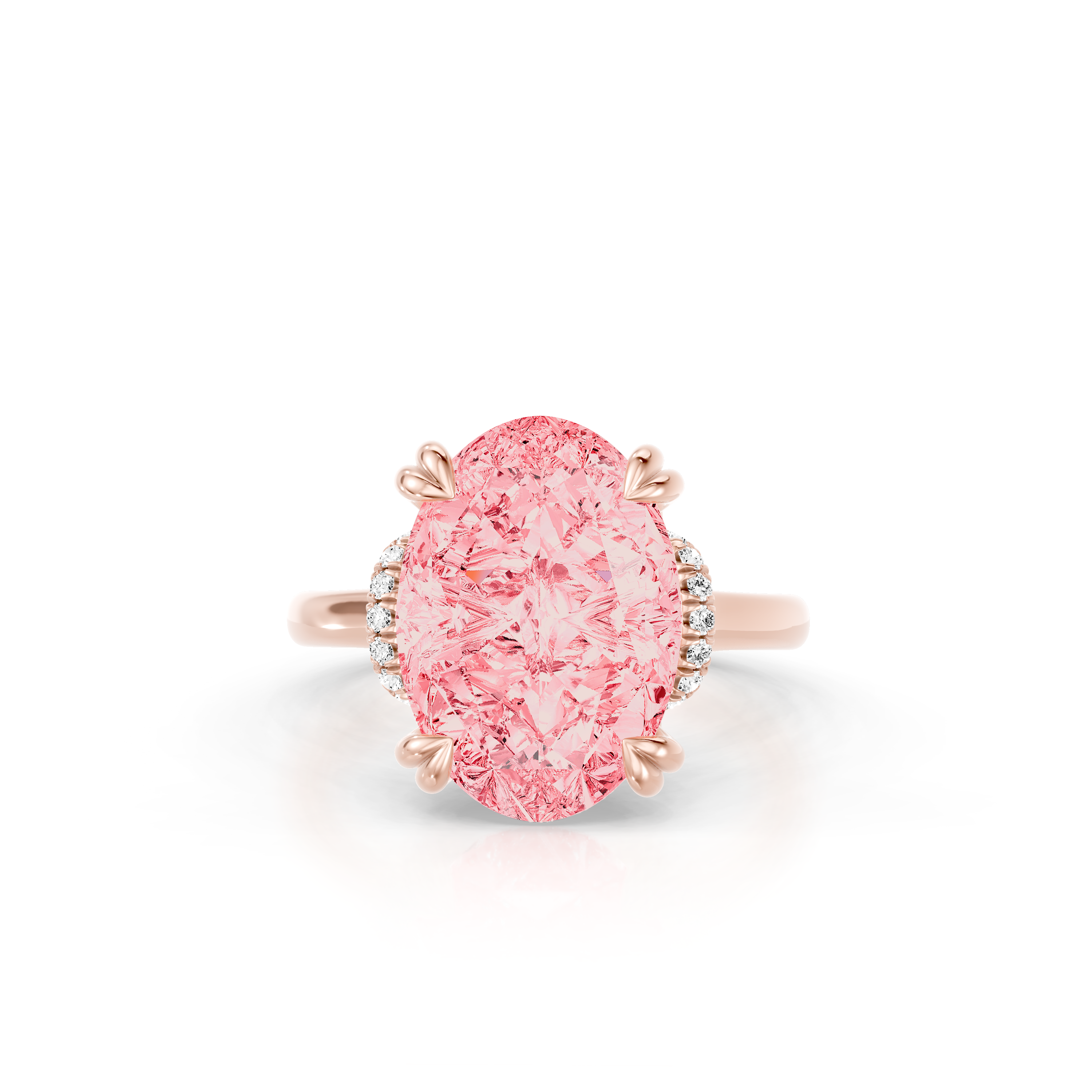 Rosa Oval Halo