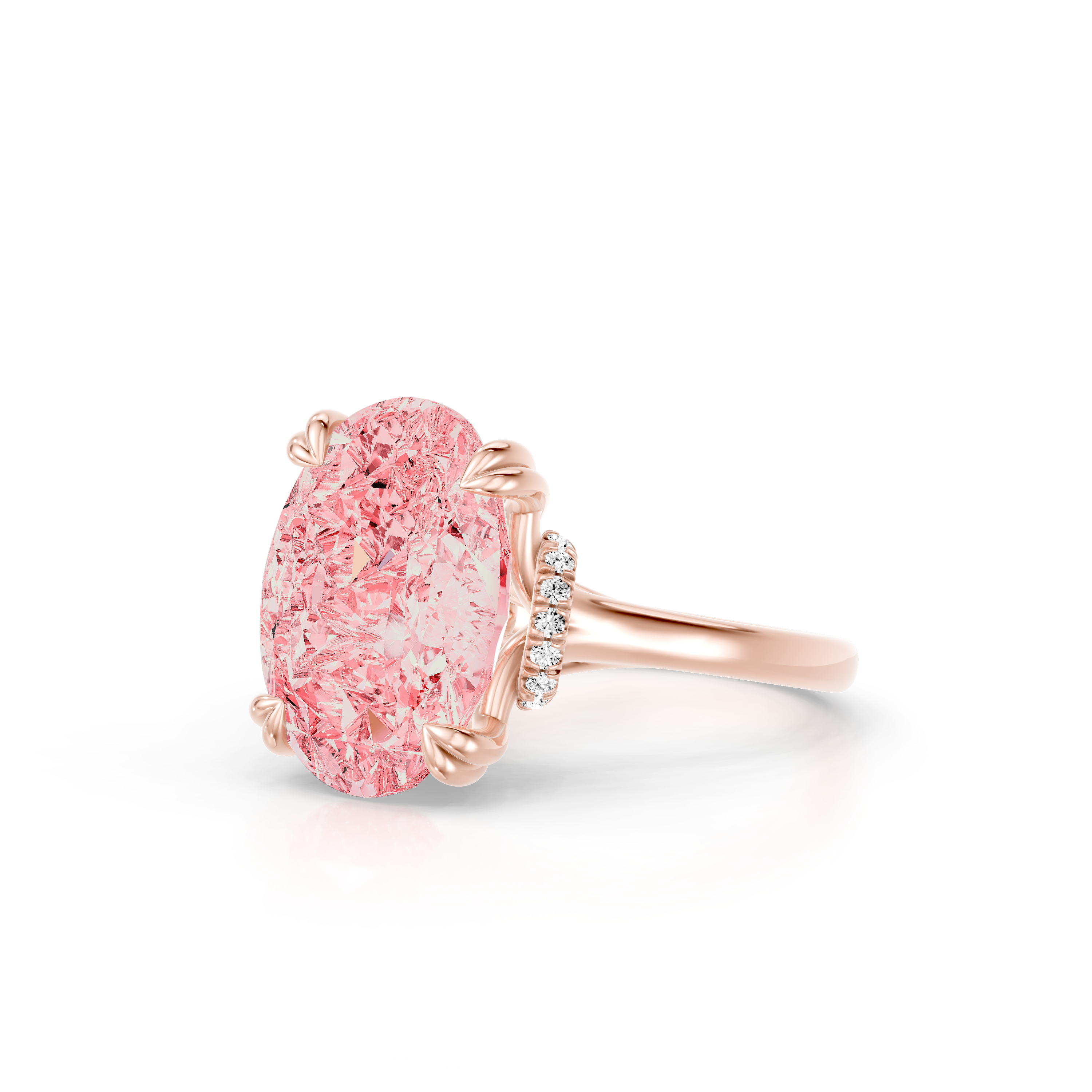 Rosa Oval Halo